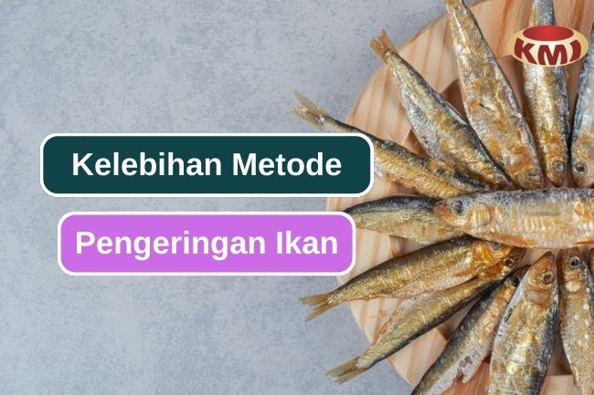 5 Keunggulan Metode Pengeringan Ikan 